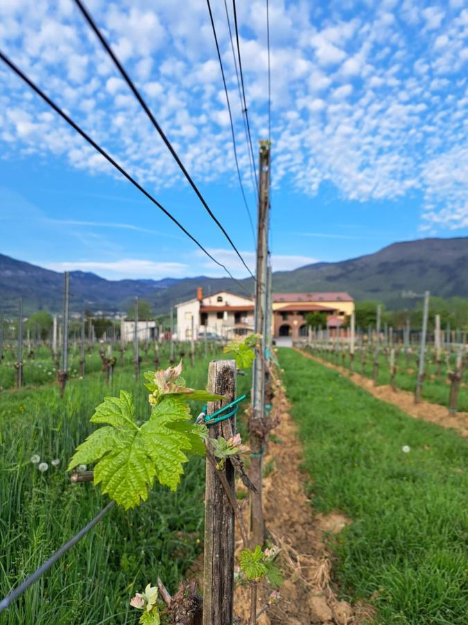 Posestvo Rouna - Winery And Apartments Vipava Exterior foto
